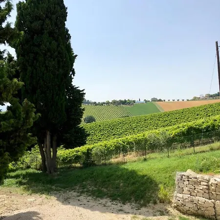 Santa Caterina