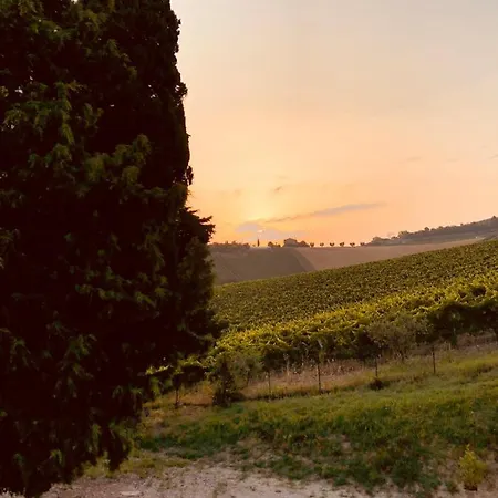 Santa Caterina 아쿠아비바 피세나