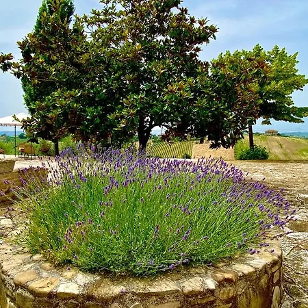 Santa Caterina Acquaviva Picena